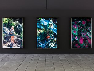 Frank Stürmer, La Mortella, Kunstfotografie